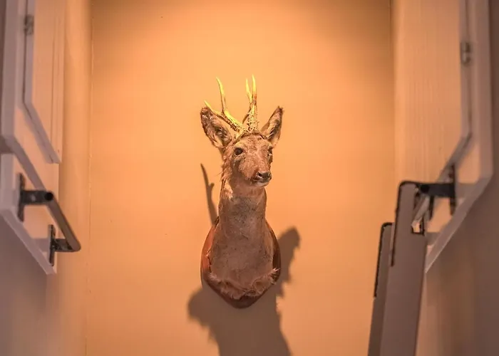 Mitenand Attika Bettmeralp