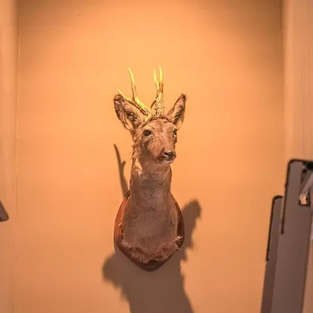 Mitenand Attika 베트머알프